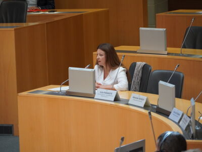 1ère Séance plénière du Conseil Rhénan à Strasbourg