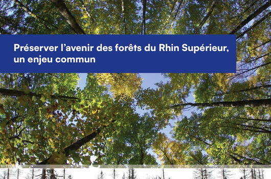 Brochure : "Préserver l'avenir des forêts du Rhin supérieur, un enjeu commun" (12/2023)